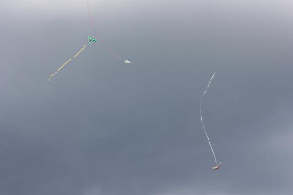 pilot_03-07-10_00201.JPG