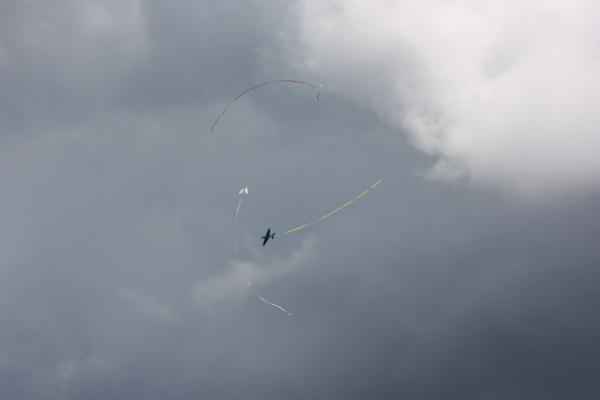 pilot_03-07-10_00206.JPG