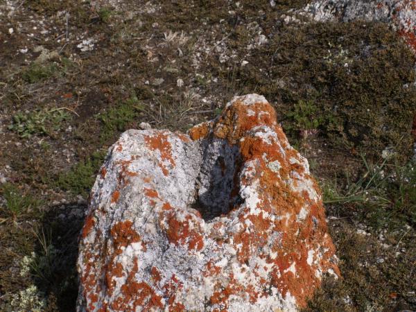baykal2010_00255.jpg