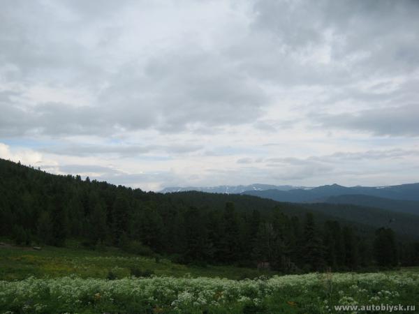 saygonosh-16-20-11_0000112.jpg