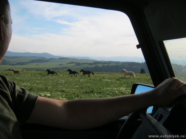 saygonosh-16-20-11_0000123.jpg