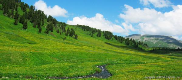 saygonosh-16-20-11_0000152.jpg