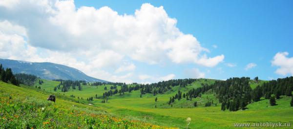 saygonosh-16-20-11_0000153.jpg