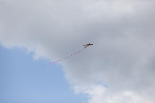145.jpg