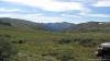 akkaia_0000028_t1.jpg