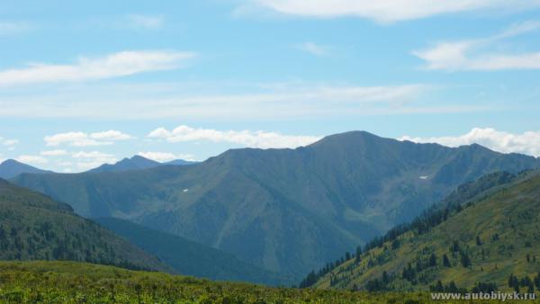 akkaia_0000029.jpg