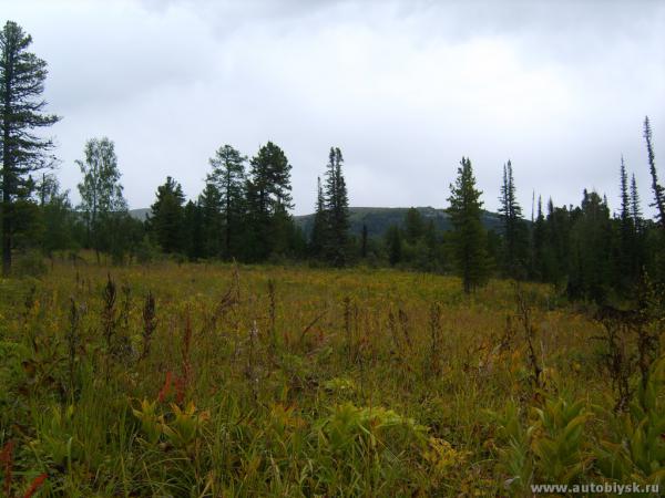 imurta-_0000116.jpg
