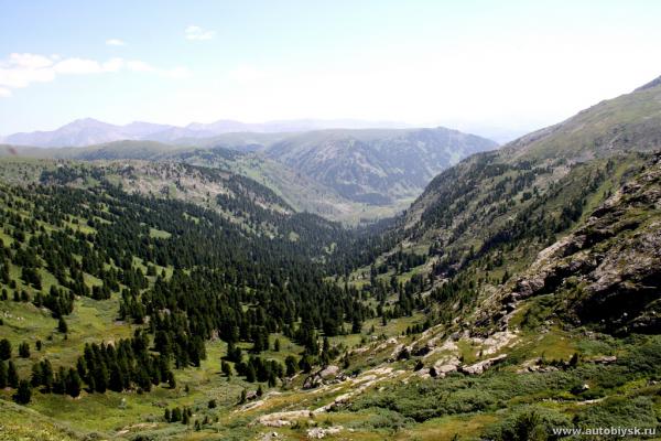 saygonosh-2012_000124.jpg