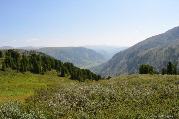 saygonosh-2012_000144.jpg