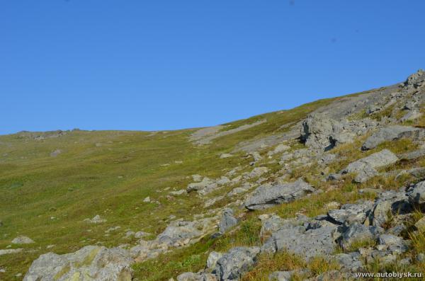 saygonosh-2012_000164.jpg