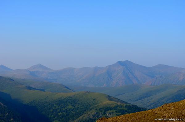 saygonosh-2012_000170.jpg