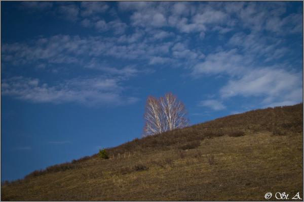 0_c5204_5d90ef15_XXL.jpg